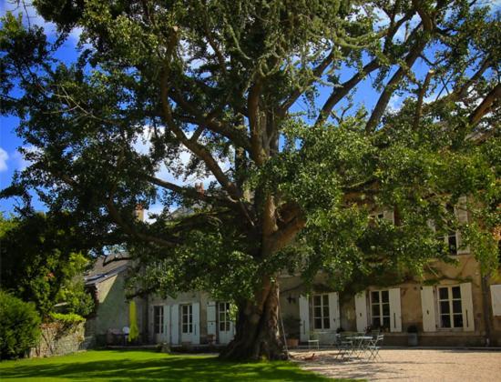 Domaine Saint-Hilaire Hotel Meung-sur-Loire Exterior photo