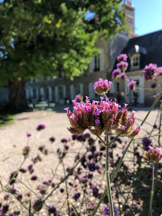Domaine Saint-Hilaire Hotel Meung-sur-Loire Exterior photo